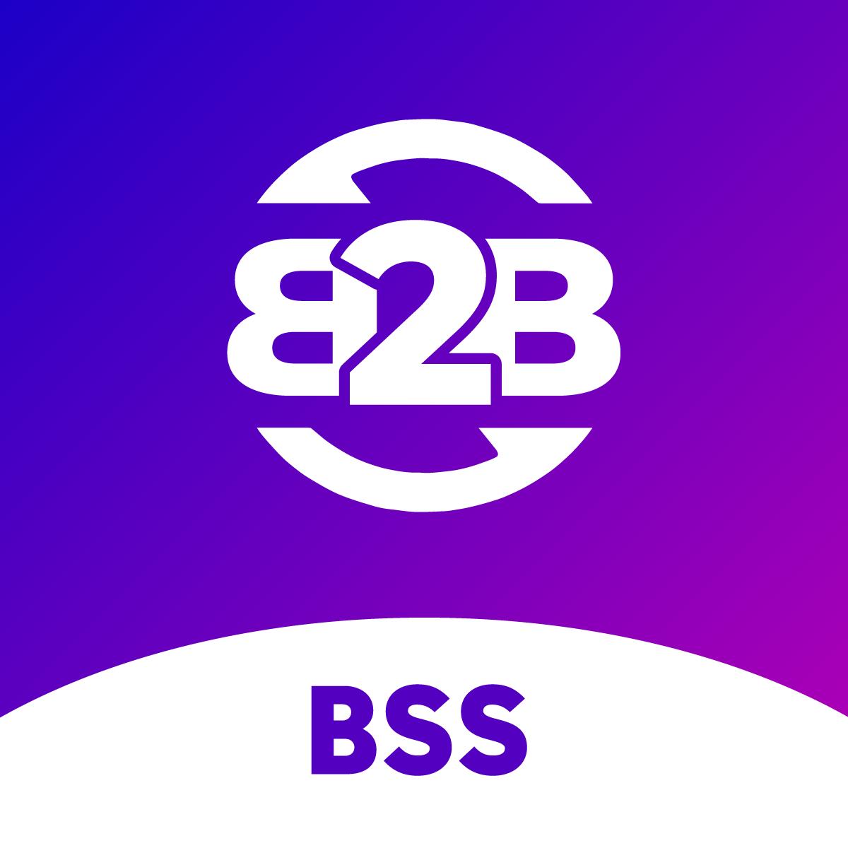 BSS B2B LOGO